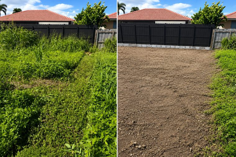 Before and after: a backyard lot buried in waist-high weeds, cleared down to level raked soil against a black fence.