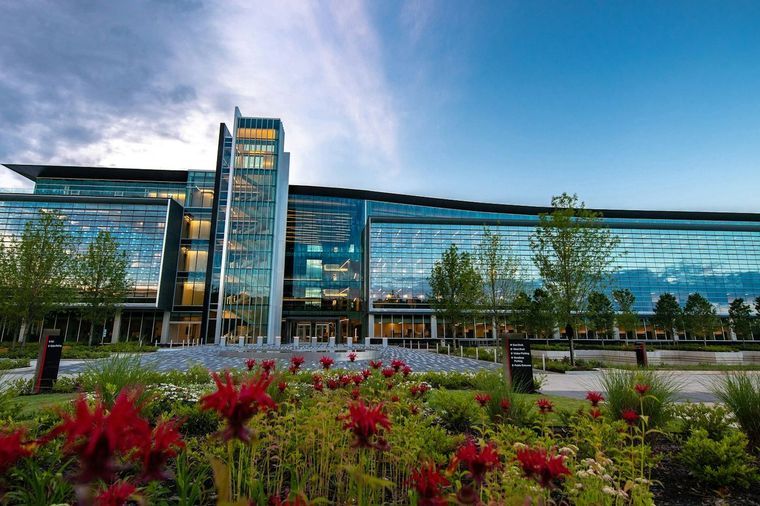 Office campus entrance with planted flower beds, young trees and mown lawn panels.